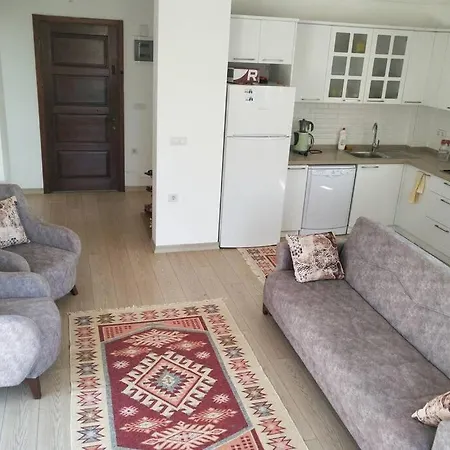 Serin Yaz Aksamlari Guemuesluek Apartment *